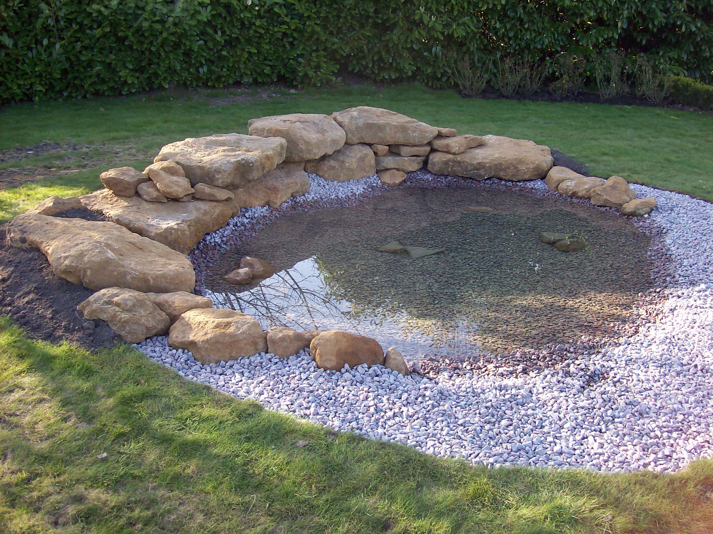 Pagan Plant Pond & Lake Construction Garden pond design and