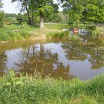 Pond Construction Garden Ponds - Pagan Plant