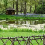 Pagan Plant Lake construction