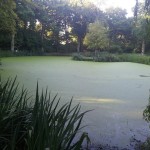 Pagan Plant Lake construction