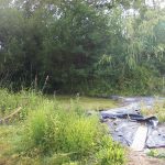 ponds designed, Garden Ponds - Pagan Plant pond design