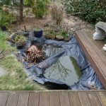 pond design pond Garden Ponds - Pagan Plant
