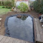 Garden Ponds - Pagan Plant