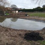 Tunbridge Wells Garden Ponds - Pagan Plant