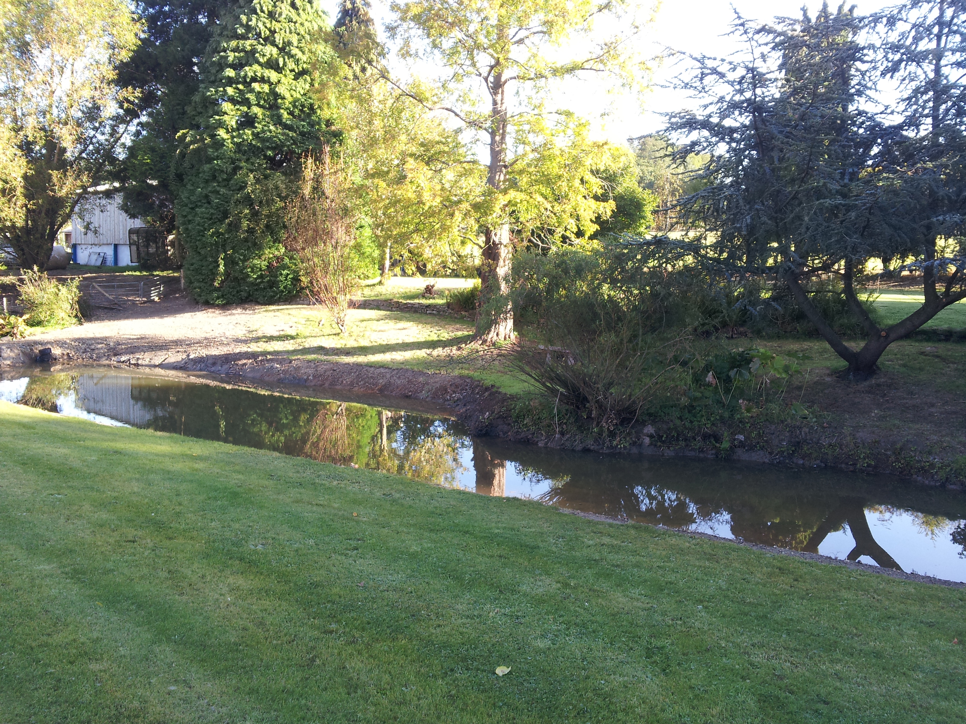 garden ponds - Pagan Plant