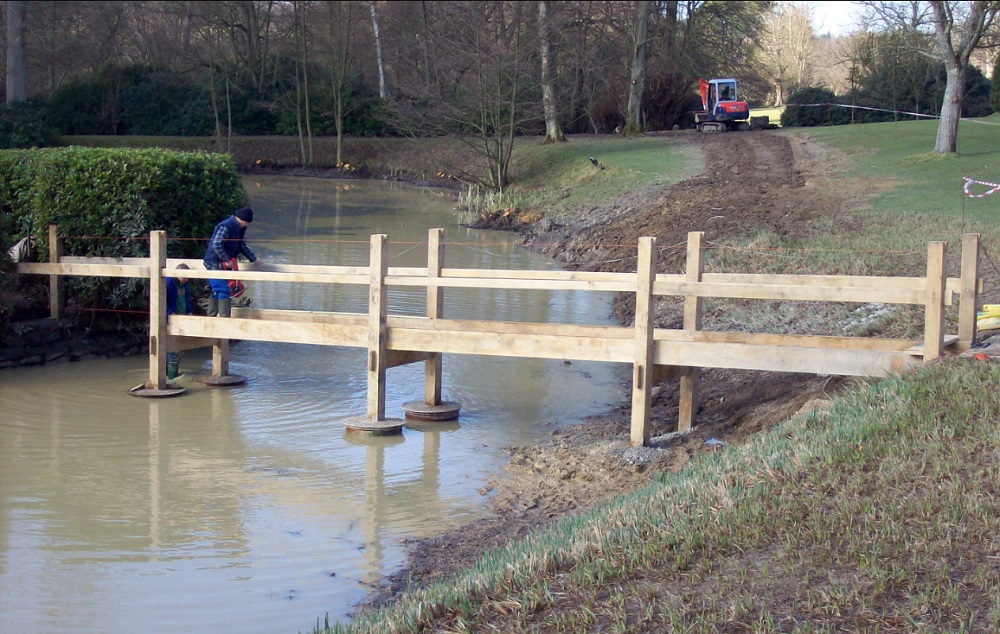 Garden pond design and construction Rotherfield - Pagan Plant